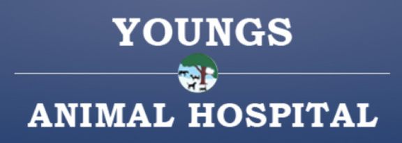 Youngs Animal Hospital is a full-service animal hospital in