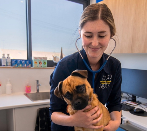 Torquay and Surfcoast Veterinary Clinics - Torquay, VIC