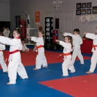 Upper Valley Karate School