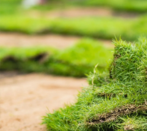Aussie Turf and Soil - Freemans Reach, NSW