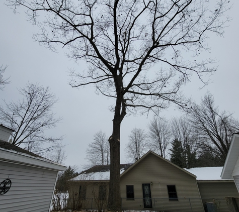 Affordable Tree Service - Sanford, MI