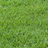 The Grass Company gallery