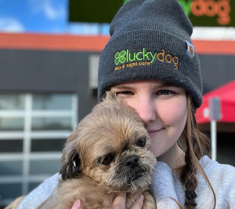 Luckydog Day & Night Care - Springfield, OR