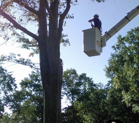 Ryan Bansky Expert Tree Service - Lindenwold, NJ