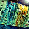 Slo-Op Climbing gallery