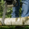 Tree Surgeon & Landscape Services gallery