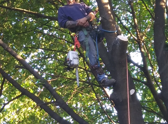 Prescott Tree Service - Flint, MI