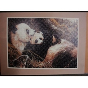 Gallery Image Number 5