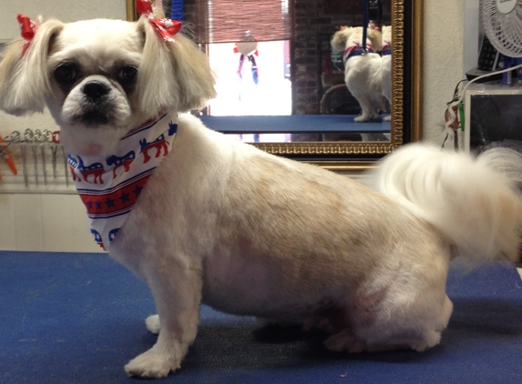 Smart Dogs Grooming Salon - Florissant, MO