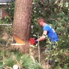 A-Local Tree Service