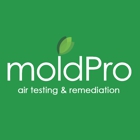 MoldPro