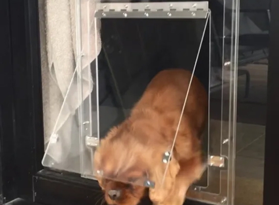 Geelong Cat & Dog Doors - Rippleside, VIC