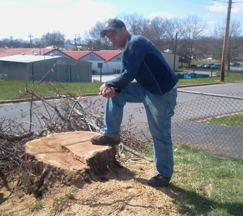 Greene Tree Removal - Bristol, VA