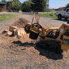 Skyline Stump Grinding gallery