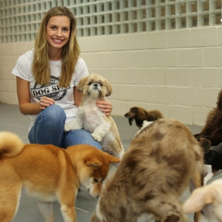 New York Dog Spa - New York, NY