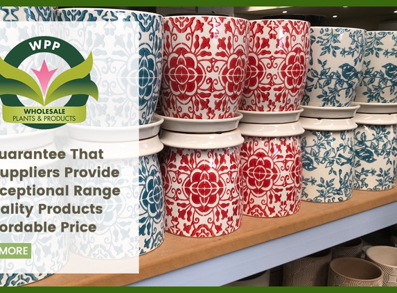 Wholesale Plants & Products Pty Ltd - Dry Creek, SA. We Guarantee That Our Suppliers Provide An Exceptional Range Of Quality Products At Affordable Price