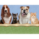 Companion Animal Hospital - Veterinary Clinics & Hospitals