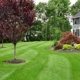 All Seasons Lawn Care