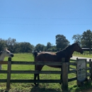 H & G Horse Quarters - Stables