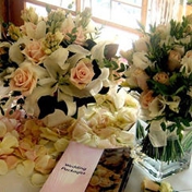 Gallery Image Number 5
