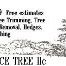 Service Tree LLC - Tree Service