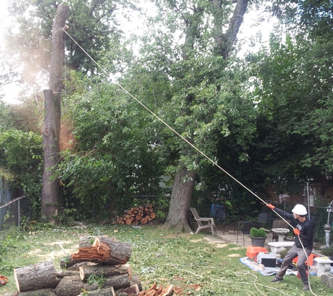 Princeton Tree Care - Princeton Junction, NJ