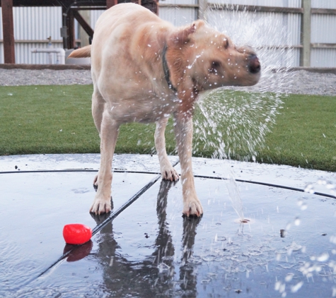 Maranda Ranch Kennels - Sonoma, CA