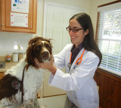 Advanced Veterinary Care - Farmington, CT
