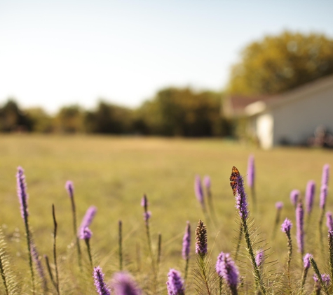 Cedarshade Pet Retreat - Red Oak, TX