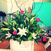 Gallery Image Number 1