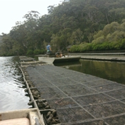 Gallery Image Number 3