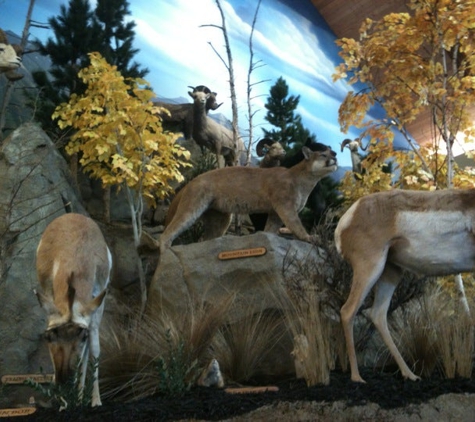 Cabela's - Wichita, KS