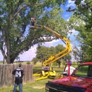 Moore's Tree Service - Nurseries-Plants & Trees