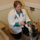 Timber View Veterinary - Pet Training