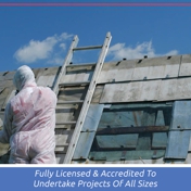 Gallery Image Number 4