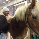 Times Square - Horse Transporting