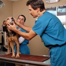 Millcreek Veterinary Clinic - Veterinarians