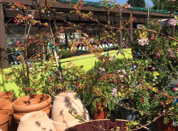 Westbrae Nursery - Albany, CA