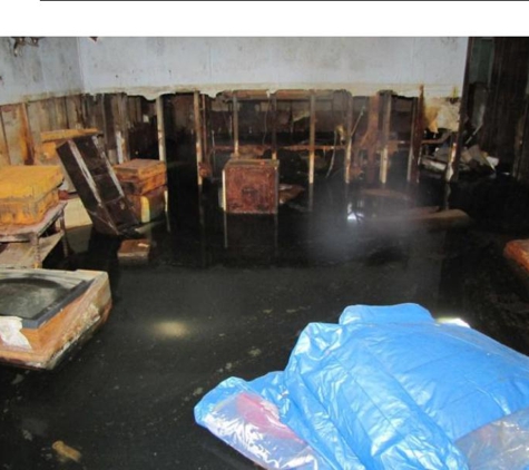 Mold Masters, Inc. - Eddyville, KY. Basement Foreclosed property