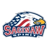 Saginaw Spirit gallery