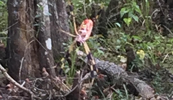 Barataria Preserve - Marrero, LA