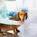 Ohana Veterinary Hospital Inc - Veterinarians