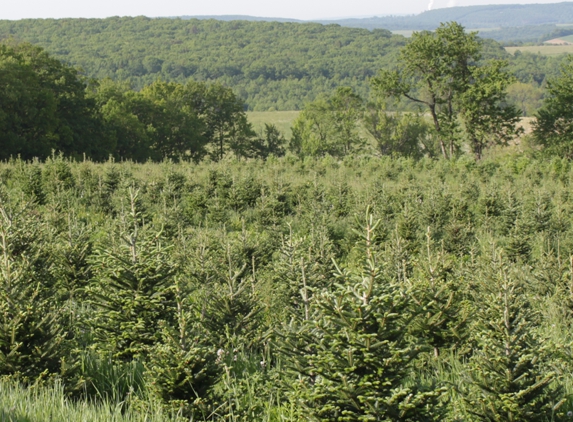 Brown's Tree Farm - Muncy, PA