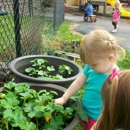 The Gardner School of Naperville North - Schools