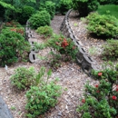 RootWise Landscape Solutions, LLC - Landscaping & Lawn Services