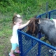 Beach Party Ponies & Petting