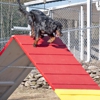 Pine Creek Kennels Pet Resort gallery