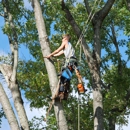 Top Notch Tree Service - Tree Service