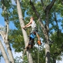 Top Notch Tree Service