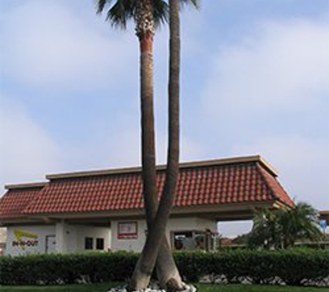 In-N-Out Burger - Upland, CA